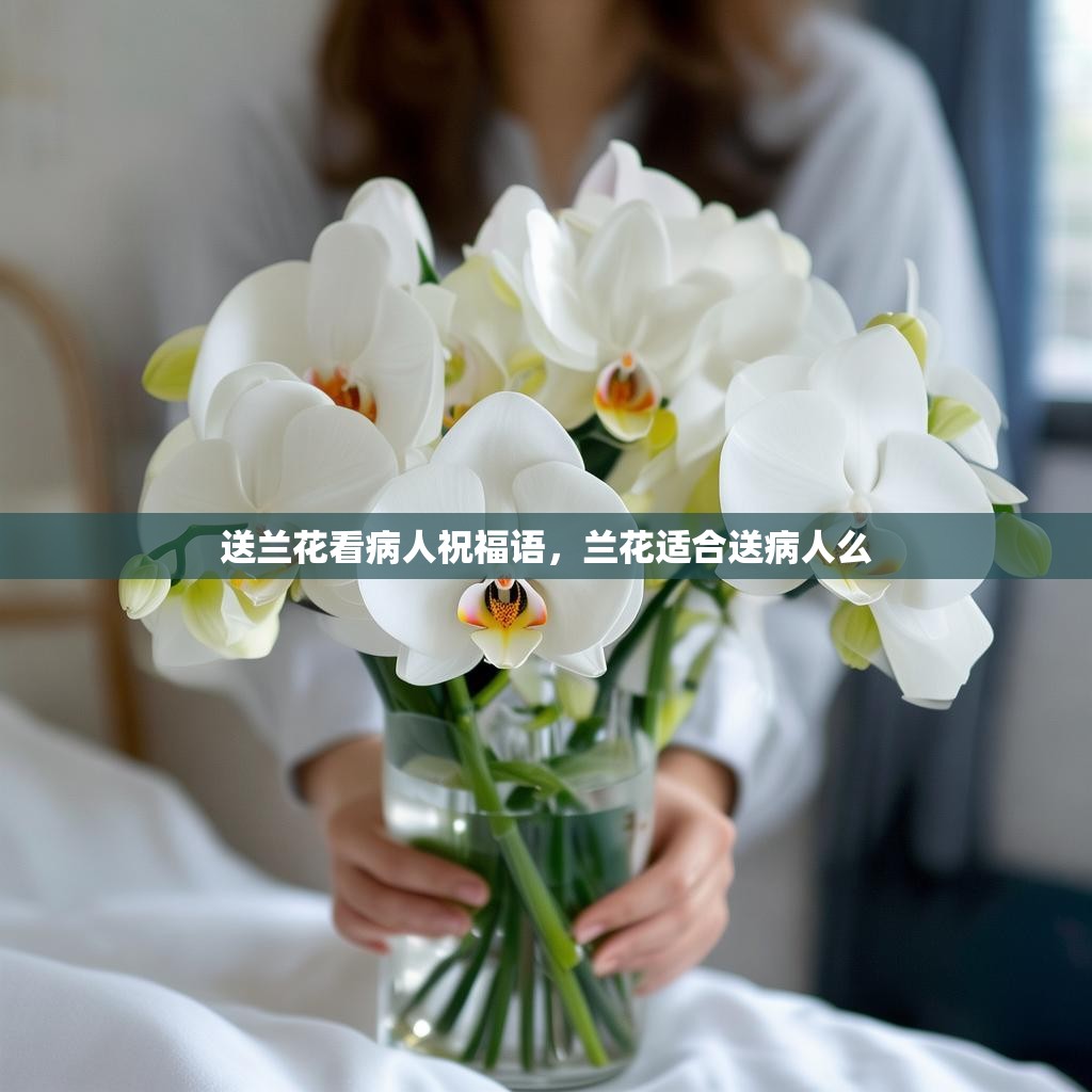 送兰花看病人祝福语,兰花适合送病人么