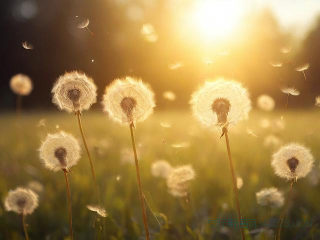 数字祝福语,一二三四五六七数字祝福语