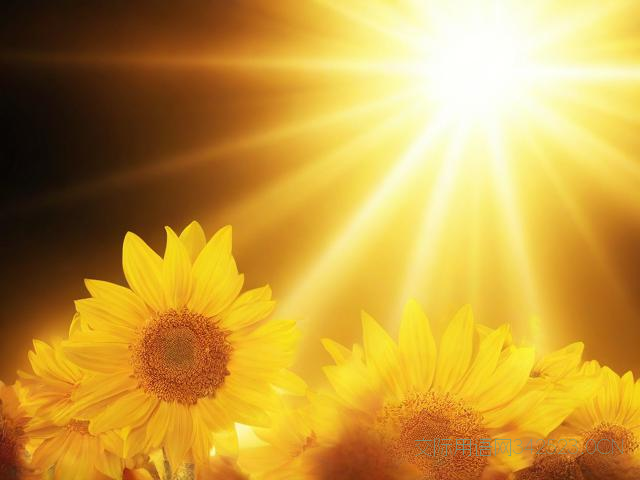 温暖的荣休祝福语，温暖的祝福语短句