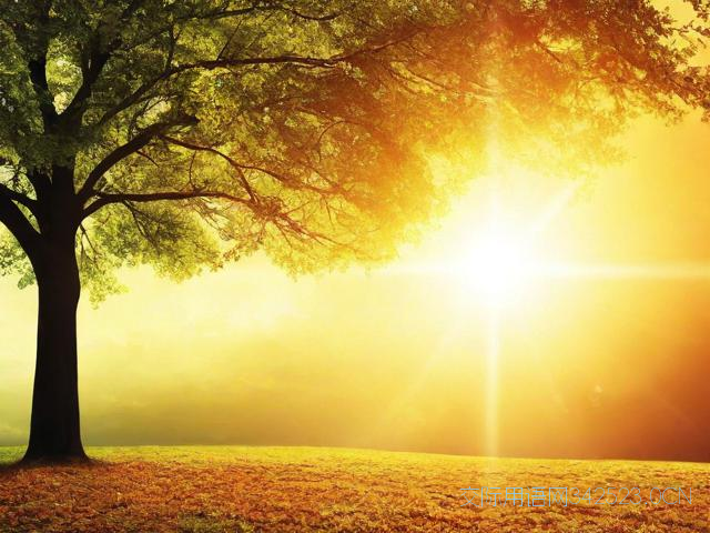 保重身体的祝福语，保重身体的短句