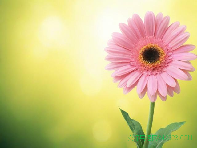 乔迁新居祝福语经典,乔迁新居简短祝福语