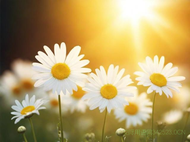 新同学祝福语，同学祝福语录经典短句