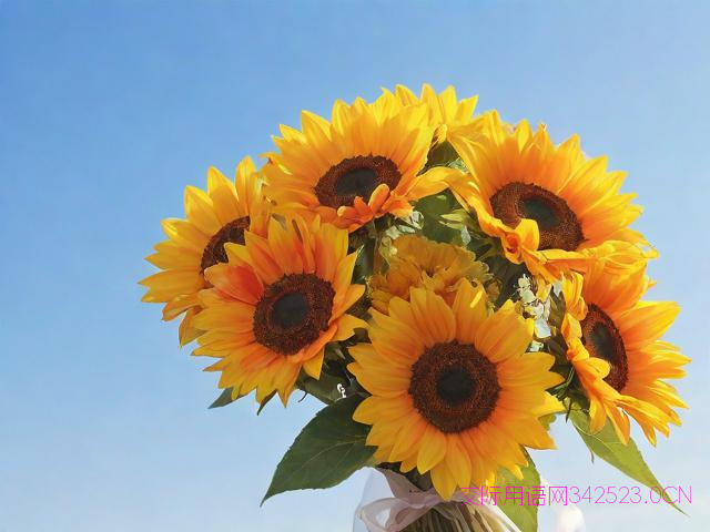 送同性朋友鲜花祝福语,送同性花有什么花语