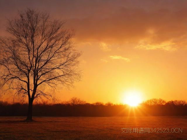 元旦文艺祝福语，文艺富有诗意的元旦祝福语