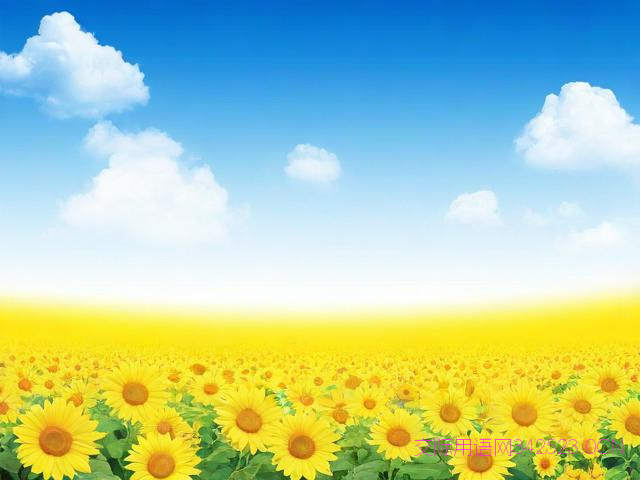 最新十一假期祝福语,十一假期祝福句子