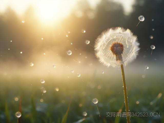 白露祝福语简洁，白露祝福语发到朋友圈励志语