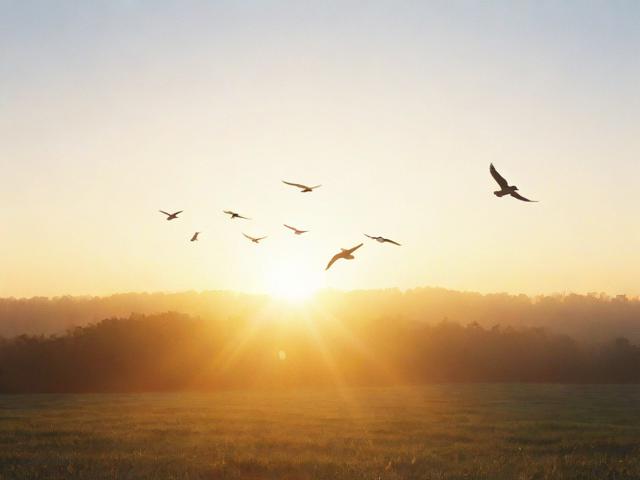 早晨的祝福语，早晨的祝福语大全短句