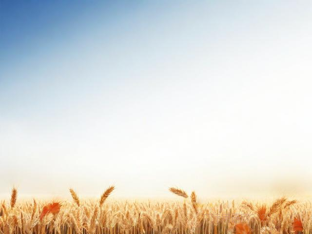 霜降祝福语图片大全,霜降祝福文案