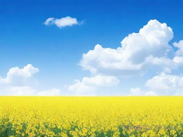 过年可以说哪些祝福语，过年应该说哪些祝福语