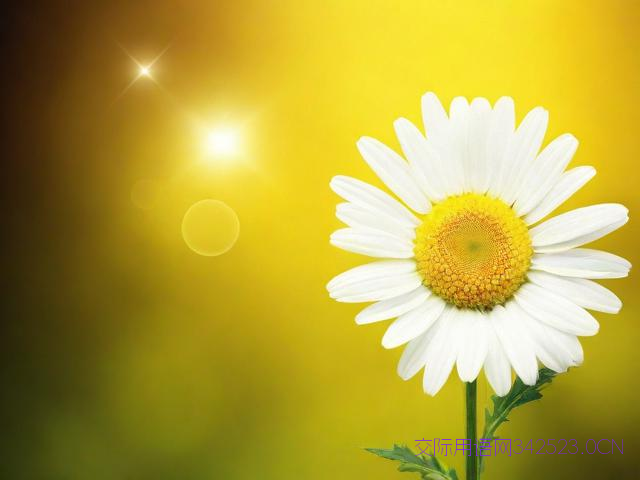 给领导的祝福语诗词，给领导的祝福语诗词大全