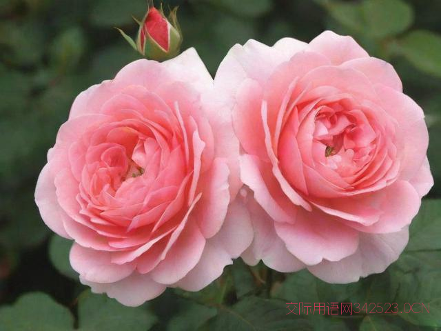 进新屋的祝福语成语，进新屋祝福短句