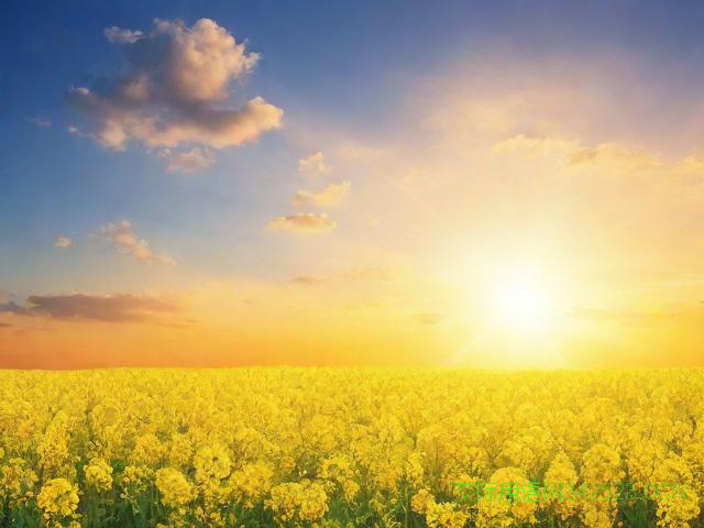 周六日祝福语，周六日祝福语短句