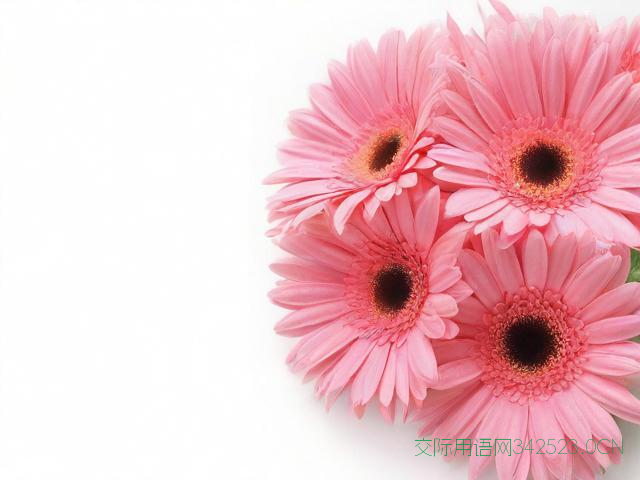 三八节祝福语简短20字，三八节 祝福语